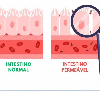 Permeabilidade Intestinal: Impacto na Saúde e Doenças Relacionadas