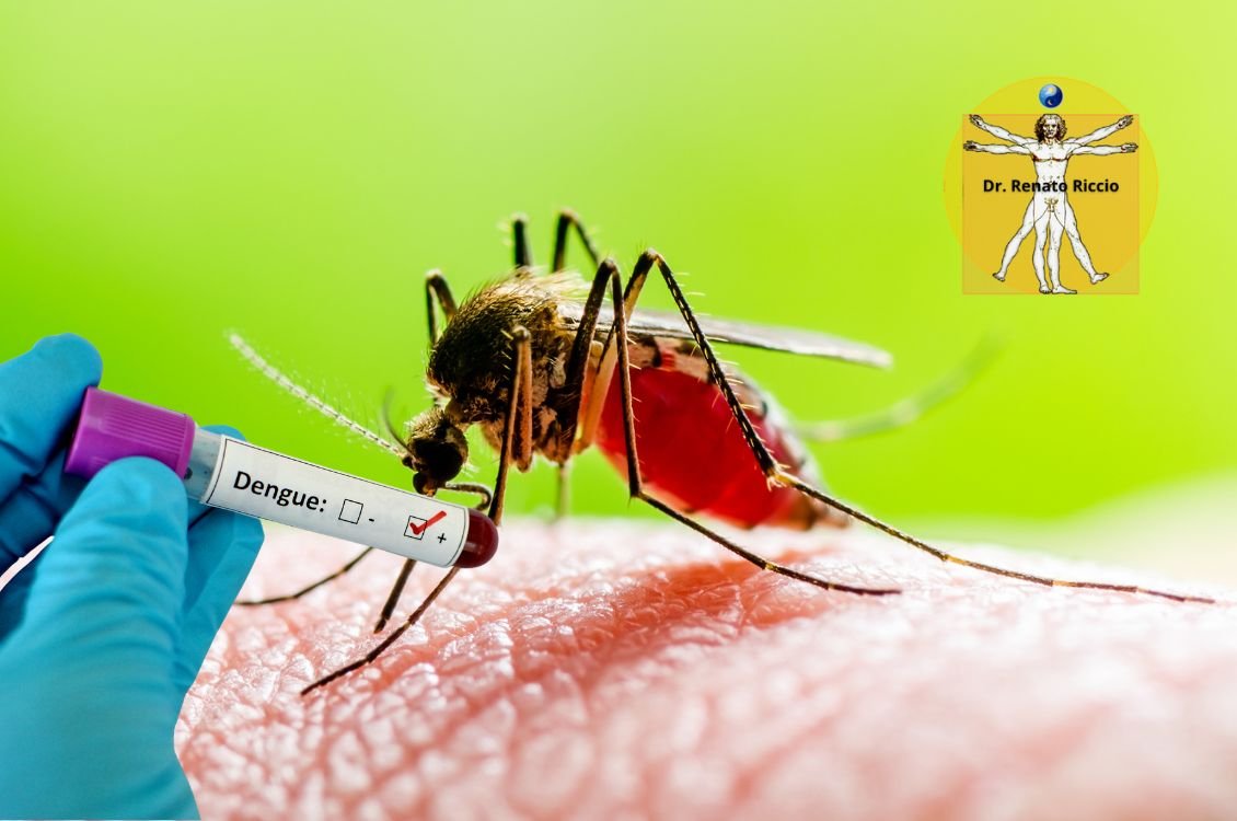 Melatonina Contra Dengue