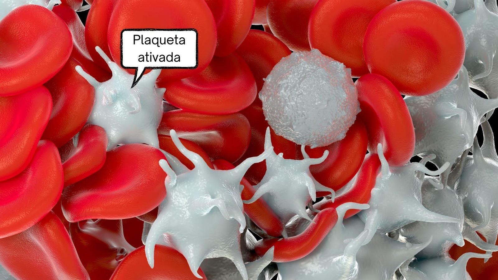 plaquetas e inflamação